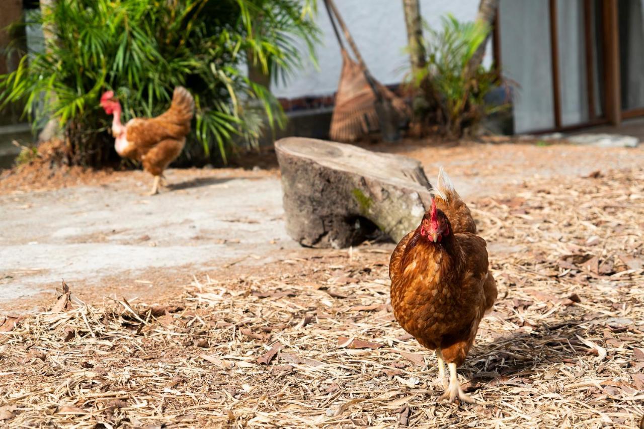 Aldea Sabatinga Villa Manizales Bagian luar foto