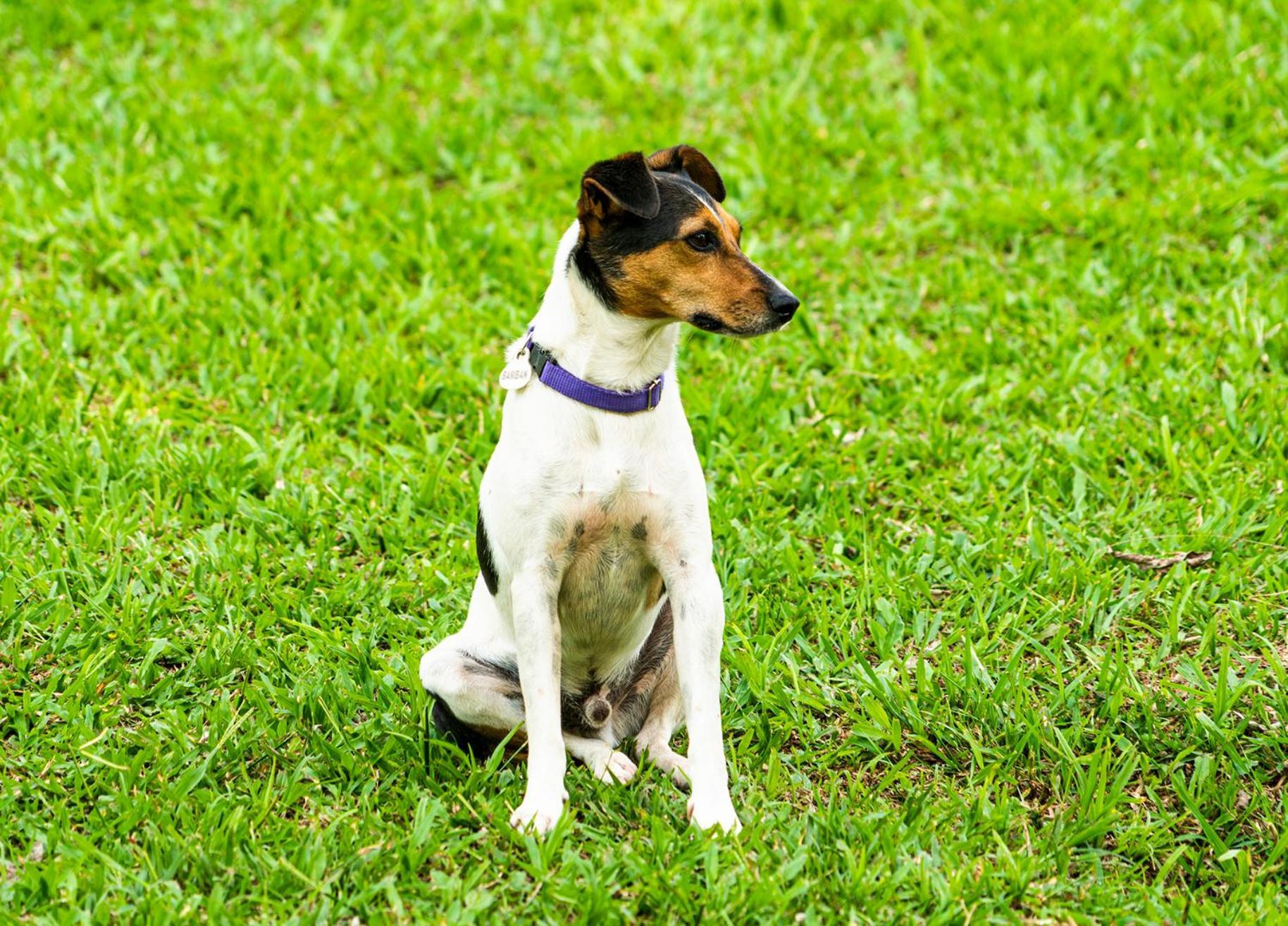 Aldea Sabatinga Villa Manizales Bagian luar foto