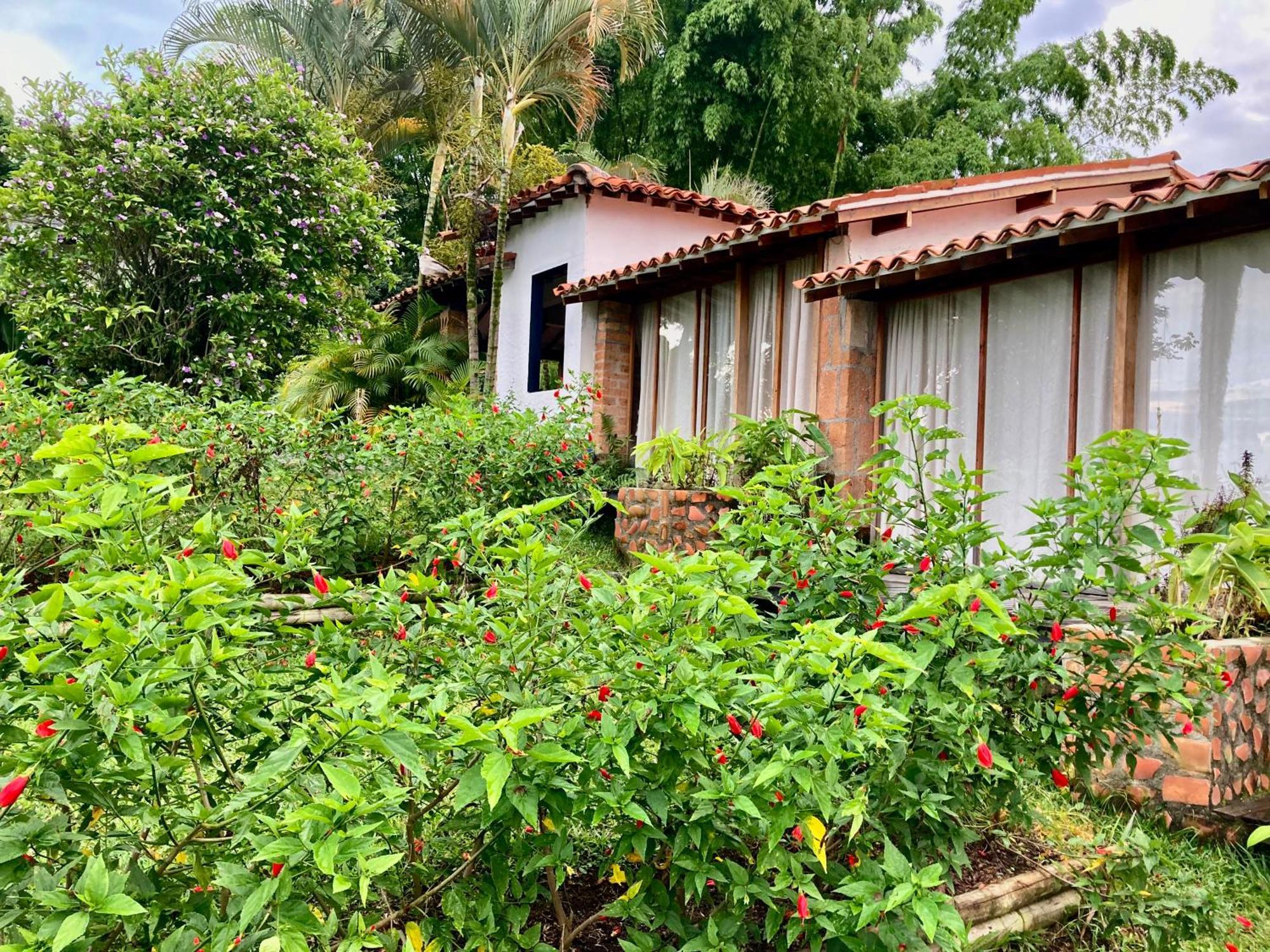 Aldea Sabatinga Villa Manizales Bagian luar foto