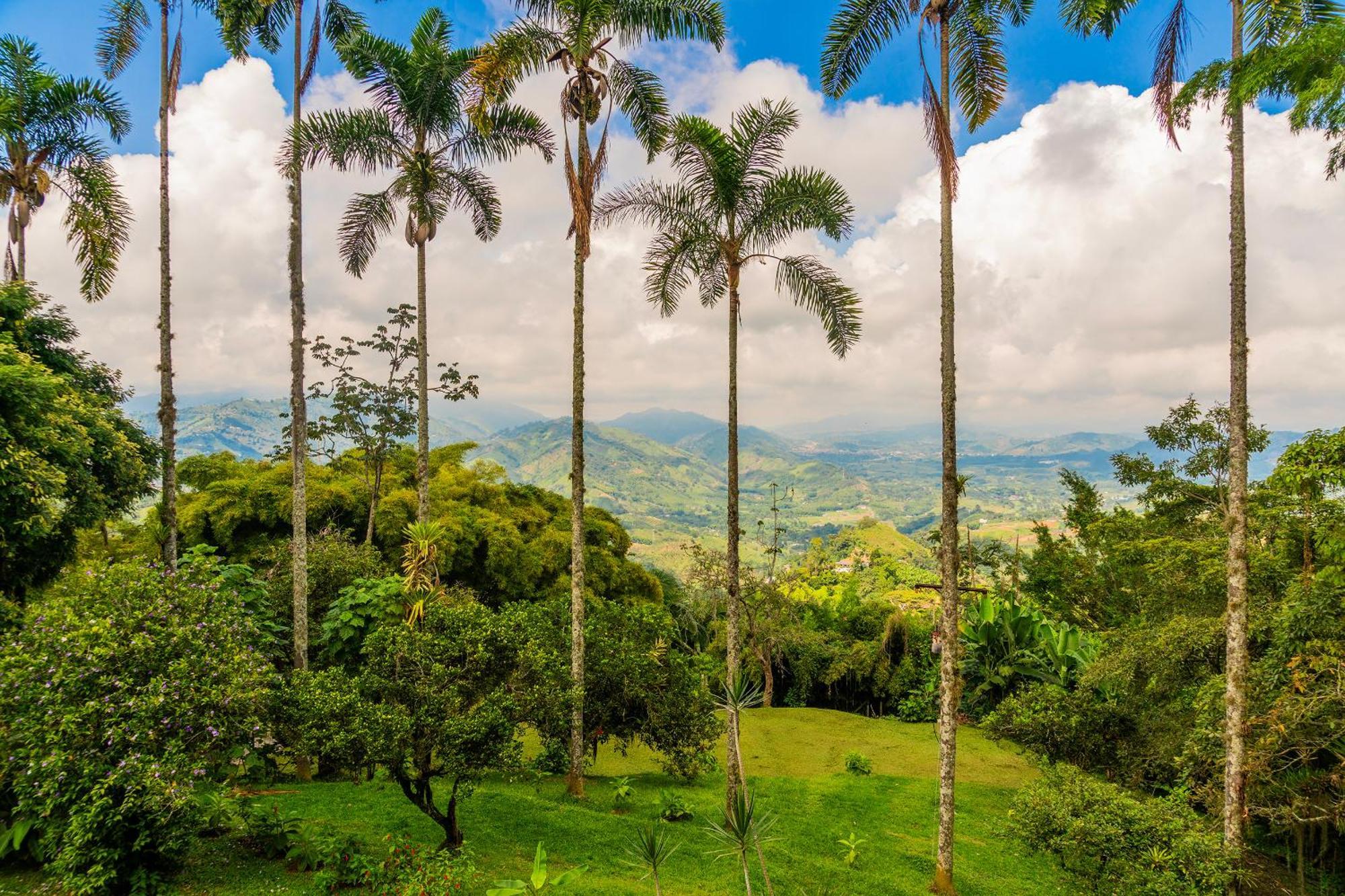 Aldea Sabatinga Villa Manizales Bagian luar foto