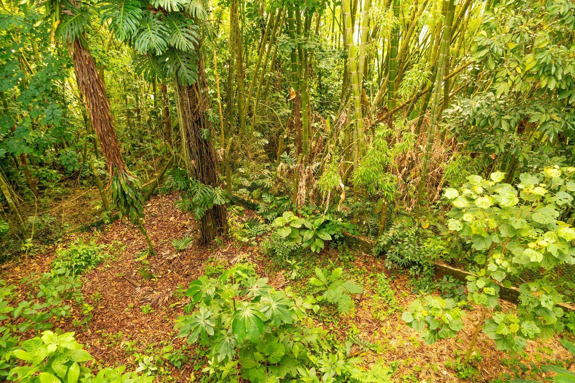 Aldea Sabatinga Villa Manizales Bagian luar foto