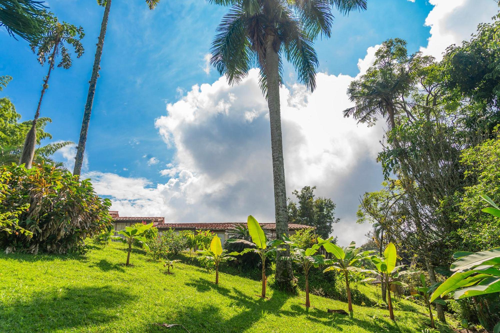 Aldea Sabatinga Villa Manizales Bagian luar foto