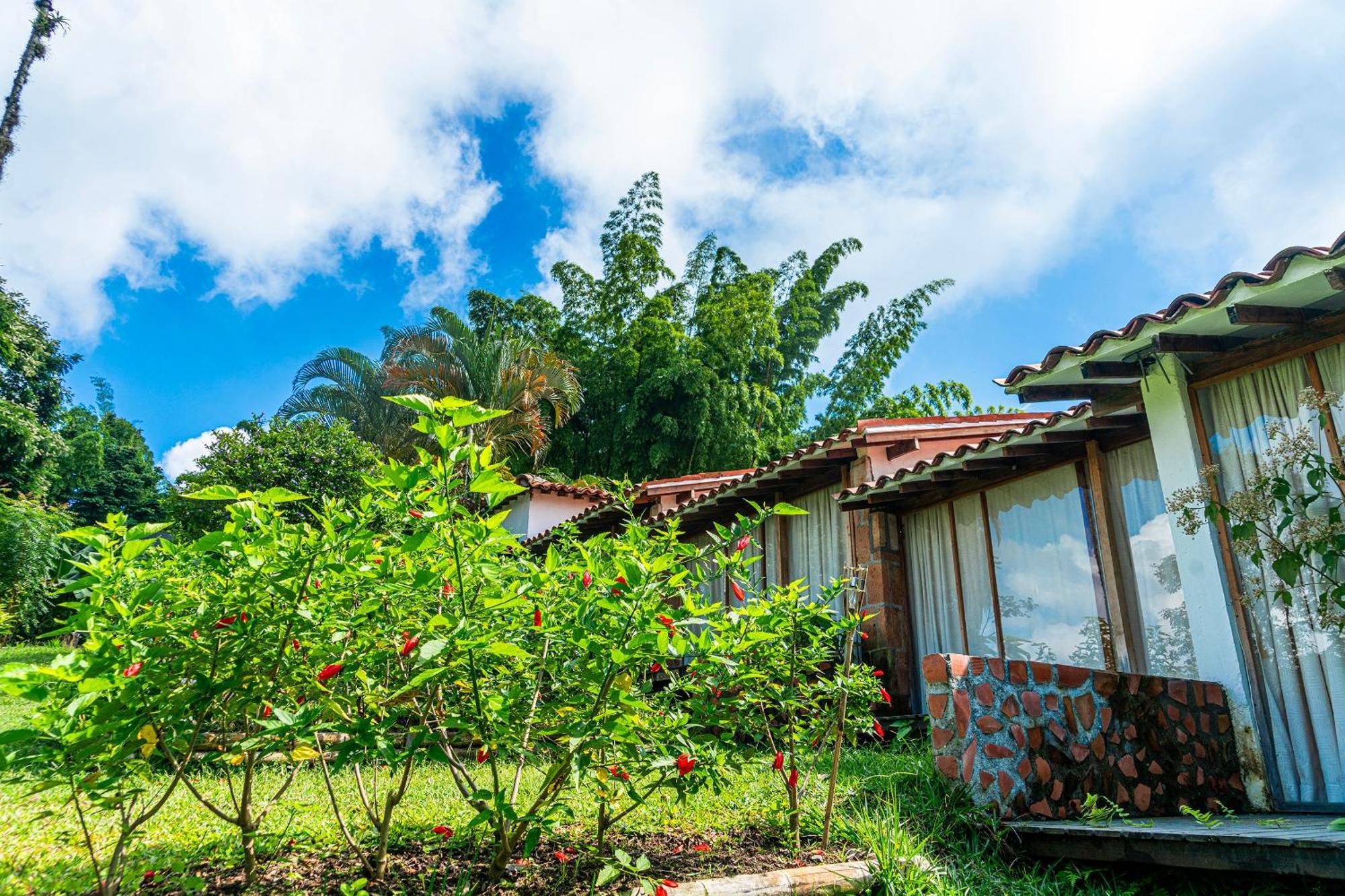 Aldea Sabatinga Villa Manizales Bagian luar foto